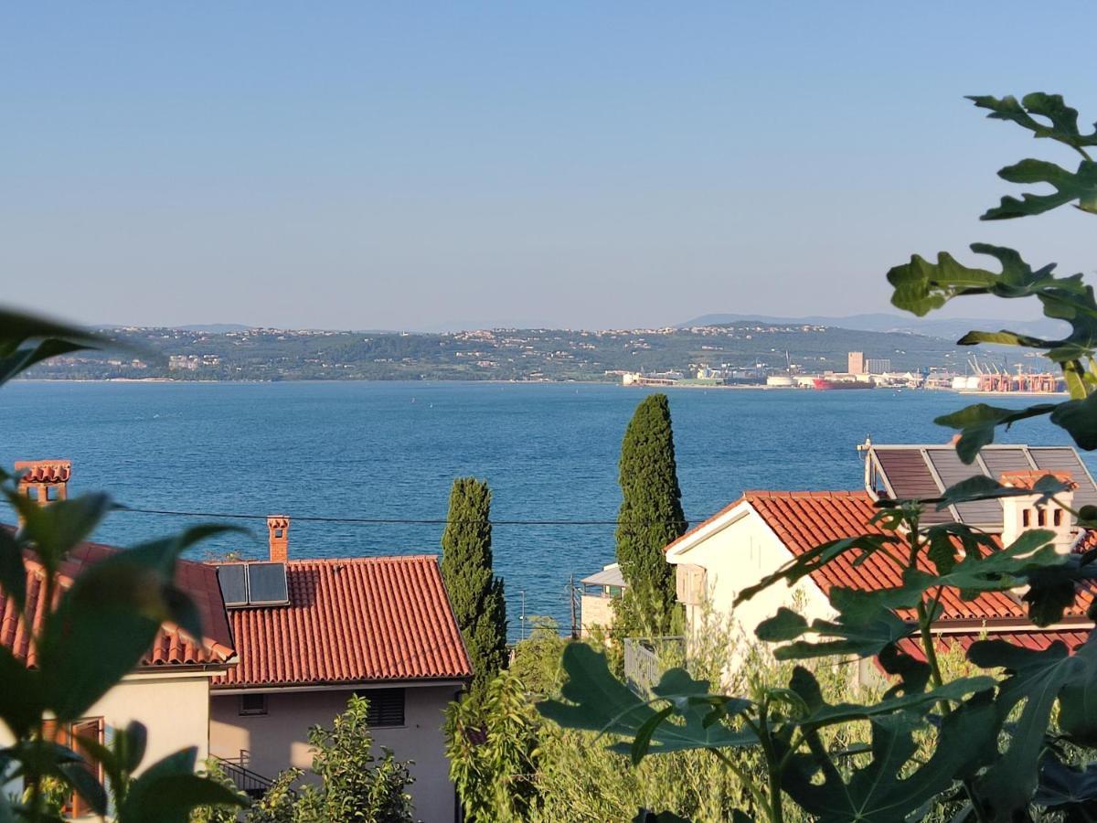 Apartment Rea Koper Bagian luar foto