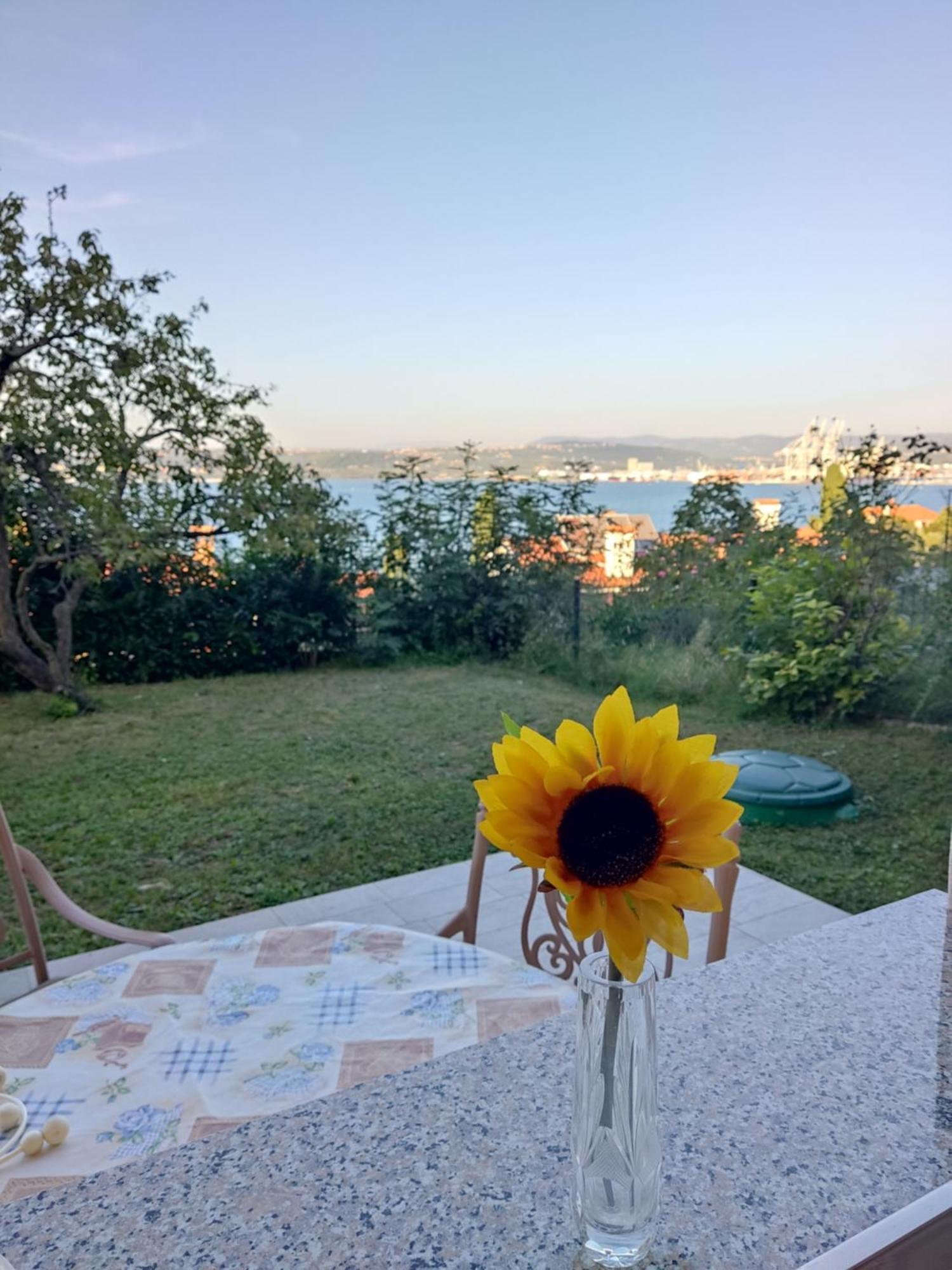Apartment Rea Koper Bagian luar foto
